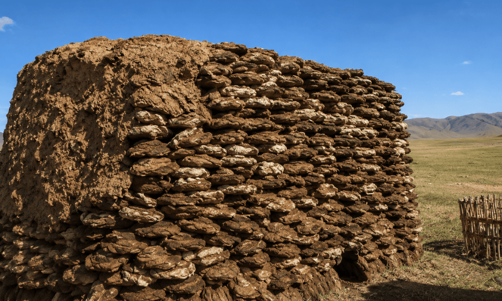 Mongolia's Nomadic Culture. How Nomadic Families Stay Warm Without Firewood